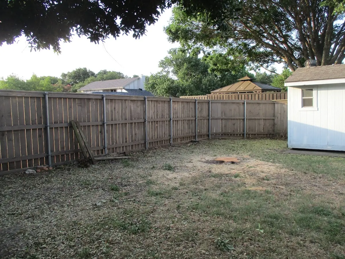 Cleared yard after professional tree removal in Wainscott